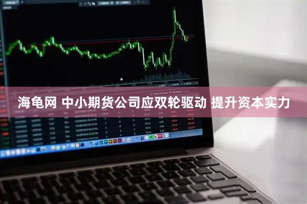 海龟网 中小期货公司应双轮驱动 提升资本实力